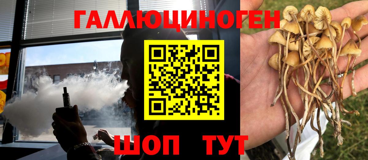 Галлюциногенные грибы прущие грибы Рославль