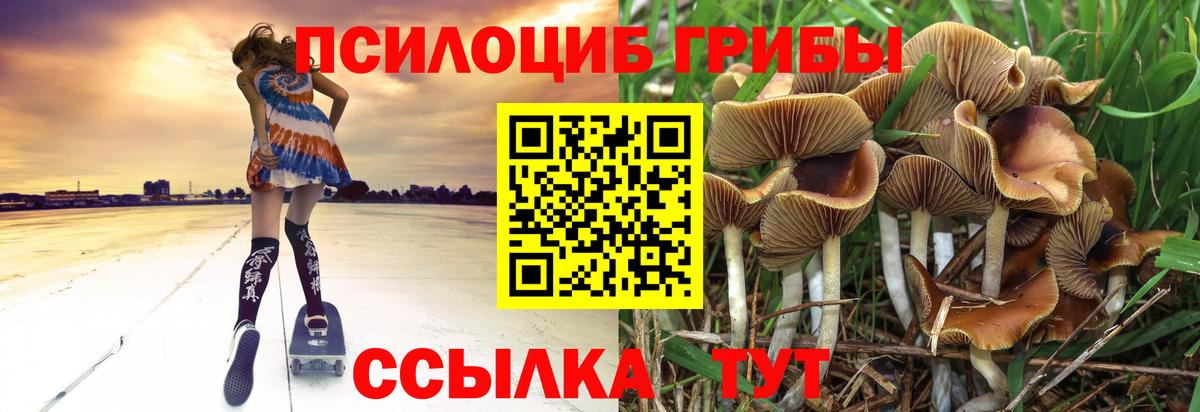 Псилоцибиновые грибы Magic Shrooms  Галлюциногенные грибы Psilocybe  Вход с VPN  Рославль 